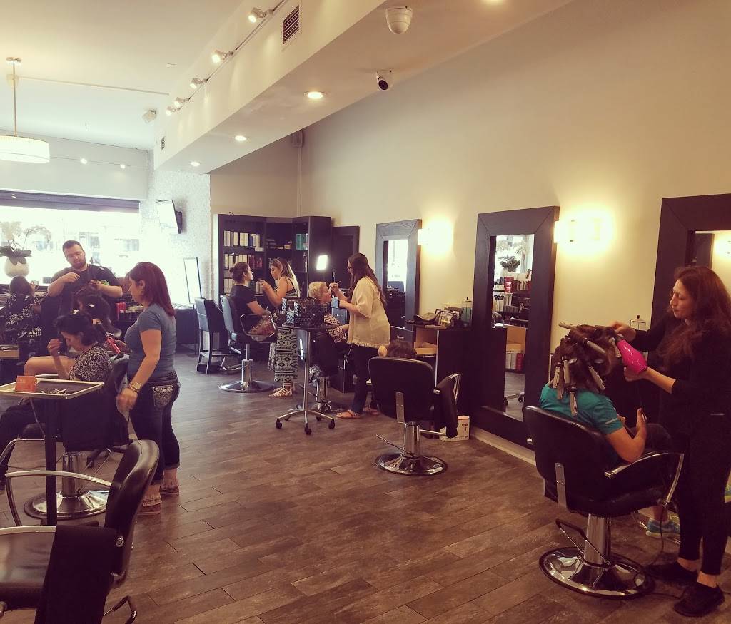 De Lis Salon & Spa | 576 Plandome Rd, Manhasset, NY 11030, USA | Phone: (516) 365-6500