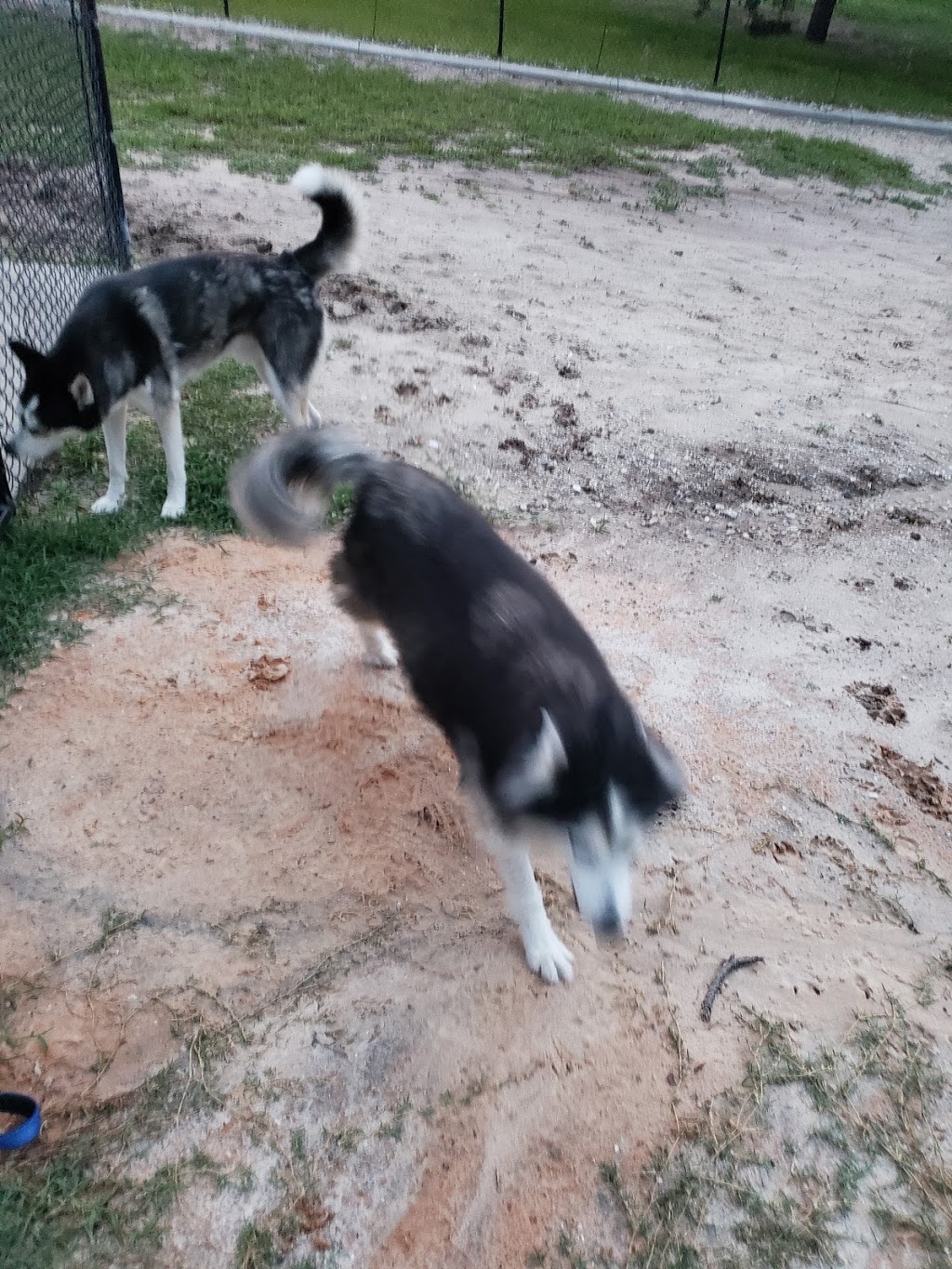 Keysville Dog Park | 2641 Keysville Ave, Deltona, FL 32725, USA