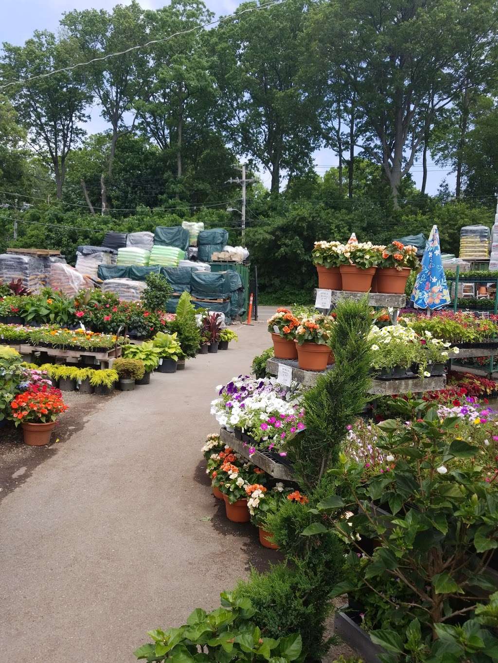 L S Garden Mart | 84 Horace Harding Blvd, Great Neck, NY 11020