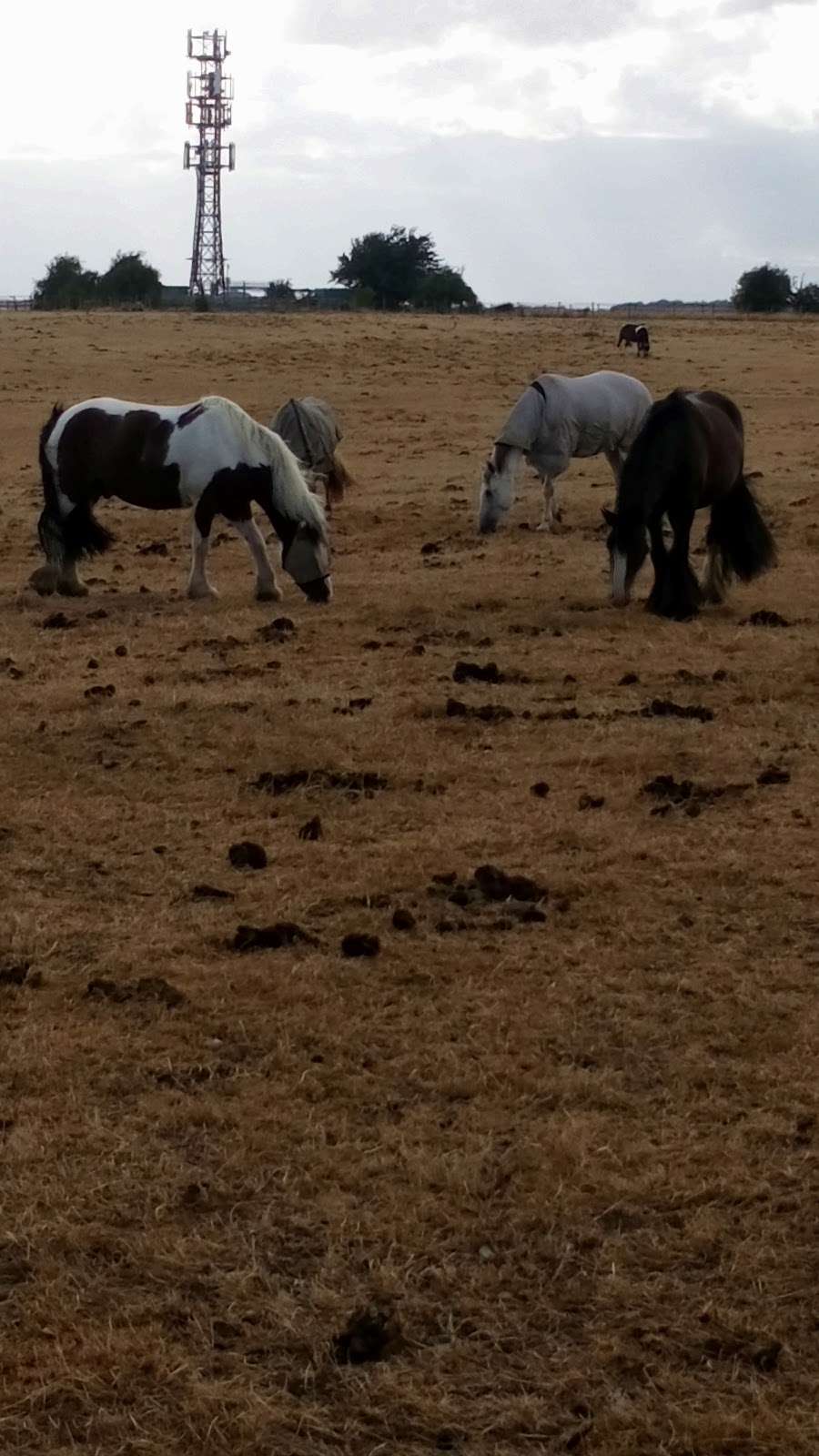 Porters Hill Park 41 Porters Hill, Harpenden AL5 5HR, UK BusinessYab