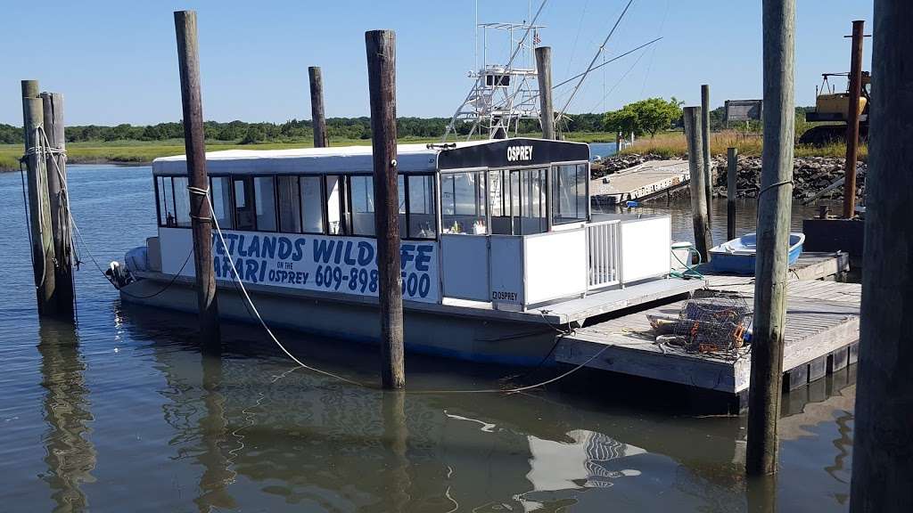 Birding By Boat on the Osprey | 1212 Wilson Dr, Cape May, NJ 08204, USA | Phone: (609) 898-3500
