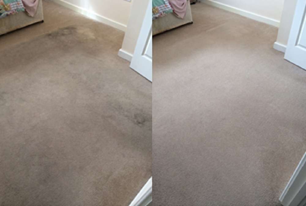 Carpet Cleaning Pearland | 1435 Garden Rd, Pearland, TX 77581 | Phone: (281) 895-1503