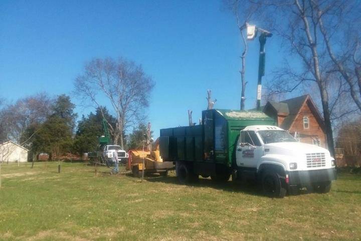 Dandy Tree Service | 3376 Ivey Point Rd, Goodlettsville, TN 37072, USA | Phone: (615) 479-3584