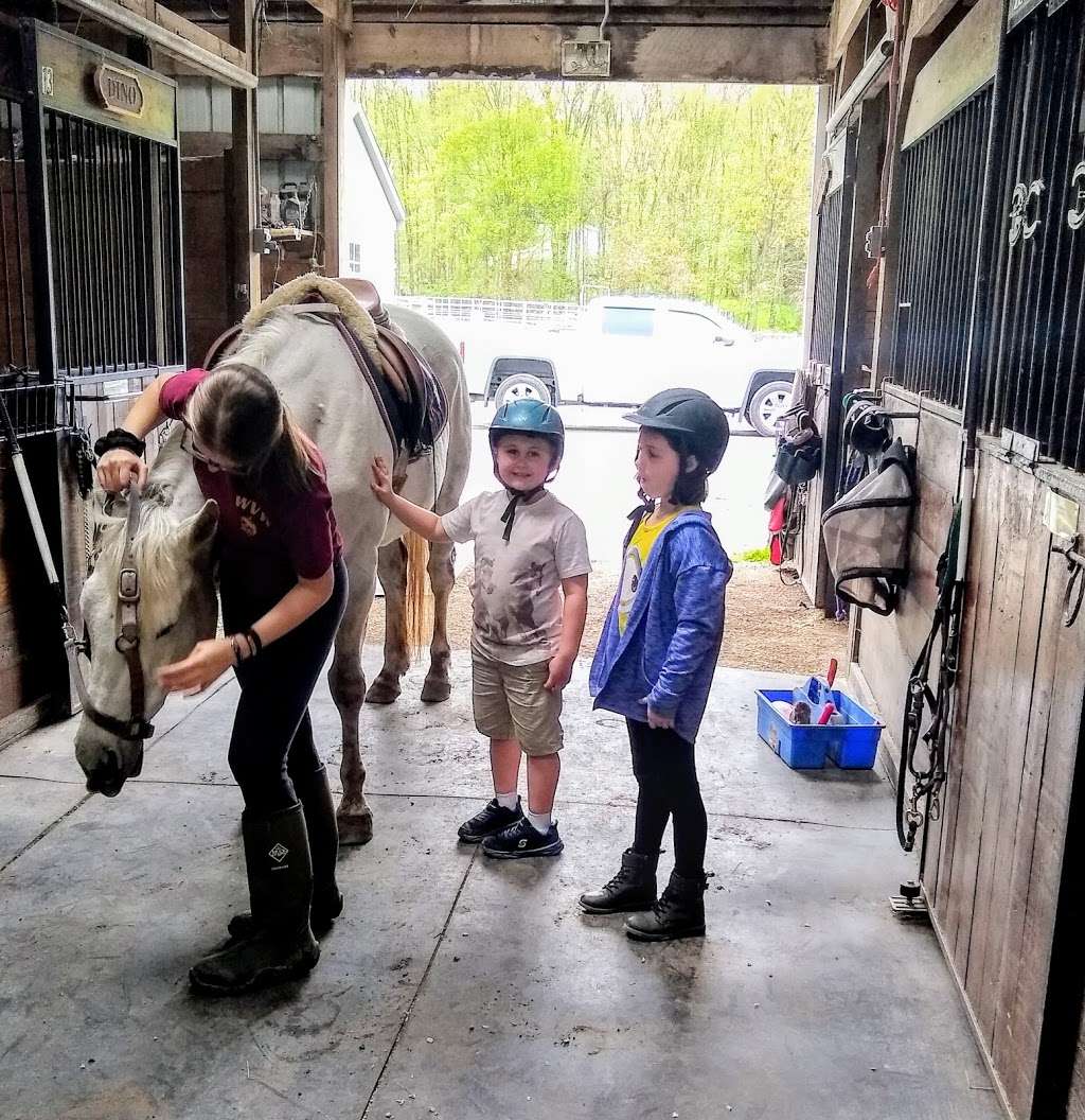 Peaceful Valley Equestrian Center, INC | 1983 Monkey Hollow Rd, Harveys Lake, PA 18618 | Phone: (570) 333-2276