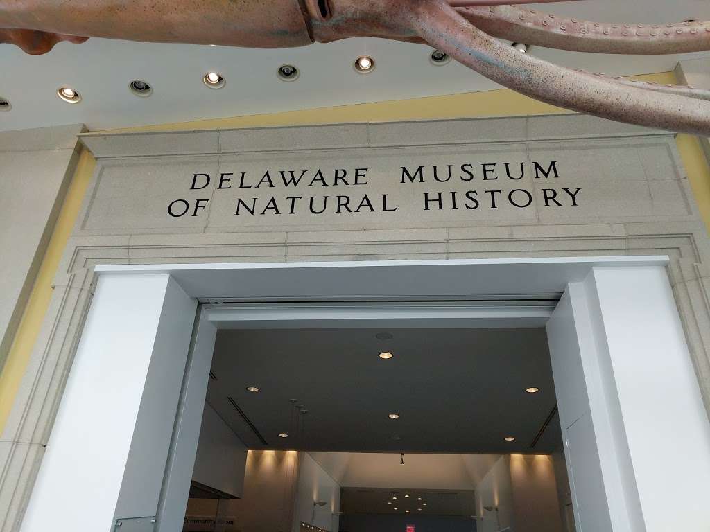 Delaware Museum of Natural History | 4840 Kennett Pike, Wilmington, DE 19807, USA | Phone: (302) 658-9111