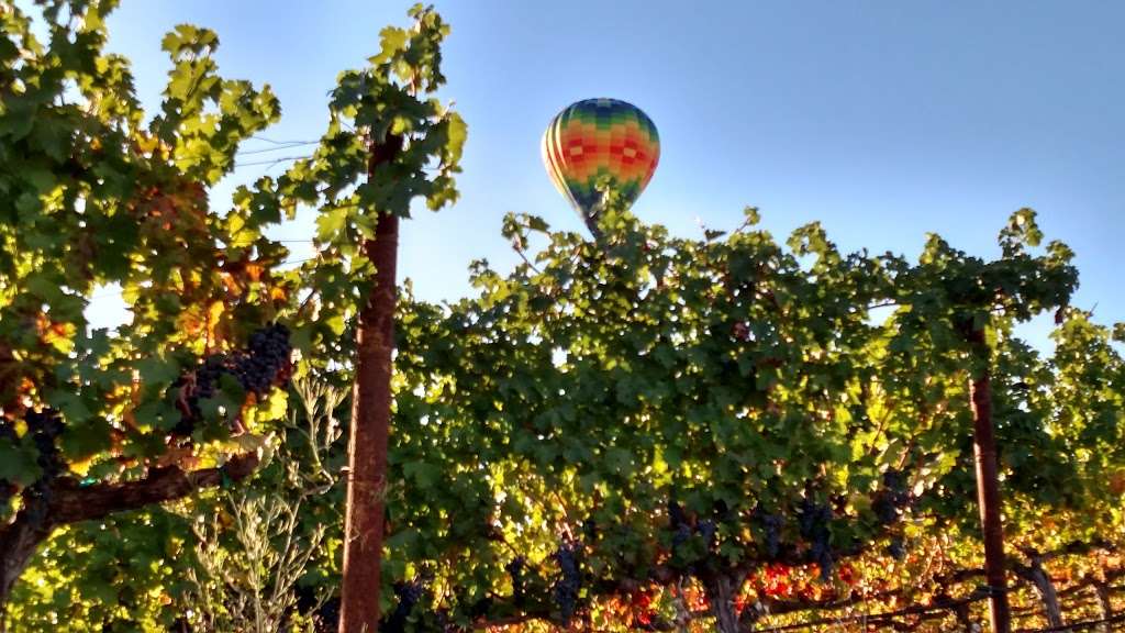 Olney Family Vineyard, Cave and Winery | 2253 Dry Creek Rd, Napa, CA 94558, USA | Phone: (707) 999-1795