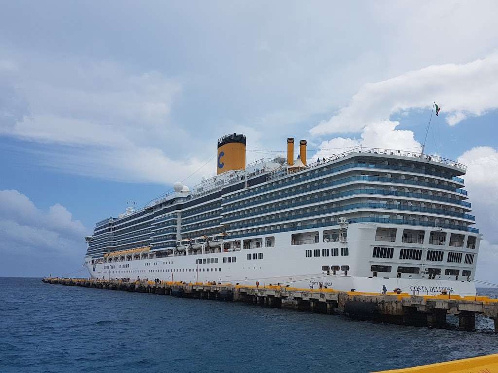Carnival Cruise Dock | 1850 Eller Dr, Fort Lauderdale, FL 33316, USA | Phone: (800) 764-7419