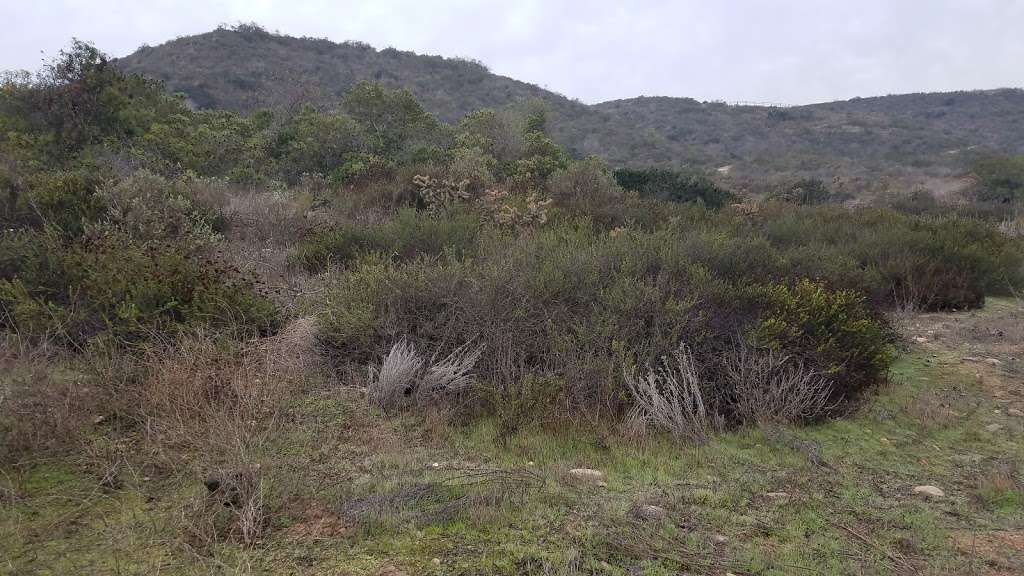 Tijuana River Valley Regional Park | 2564-2768 Dairy Mart Rd, San Diego, CA 92154, USA | Phone: (619) 428-2946