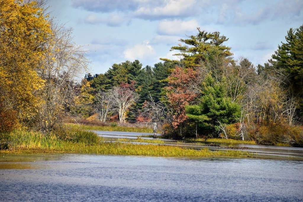 J. Harry Rich State Forest | Groton, MA 01450, USA