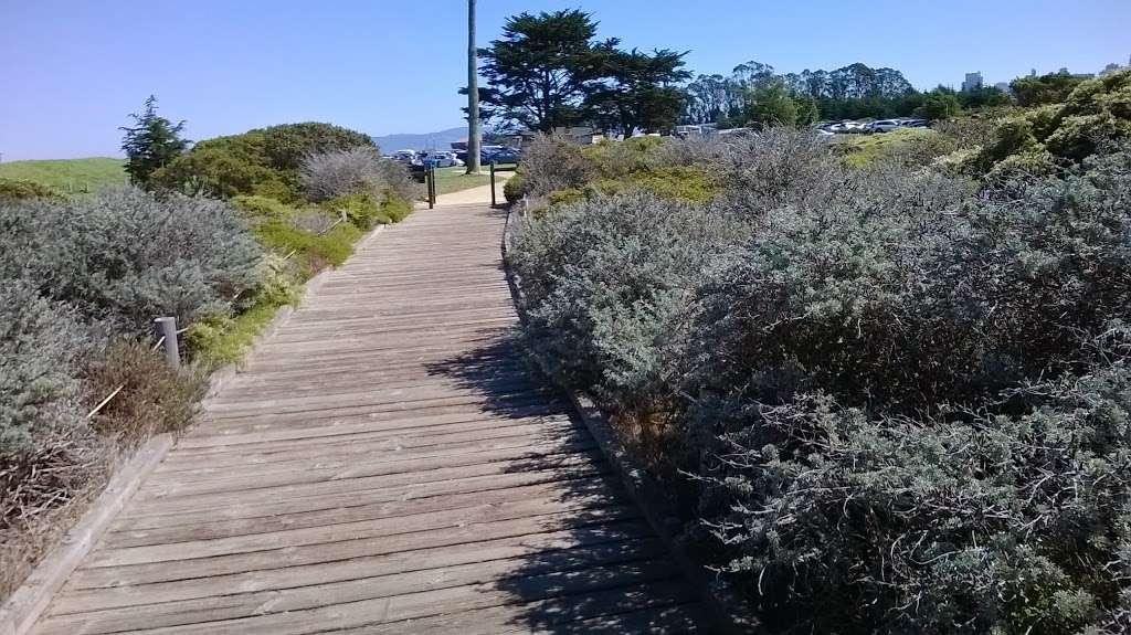 Crissy Field Marsh | Golden Gate Promenade, San Francisco, CA 94129, USA | Phone: (415) 561-4323