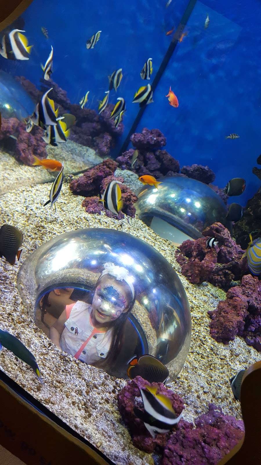 Adventure Aquarium | 1 Riverside Dr, Camden, NJ 08103, USA | Phone: (844) 474-3474