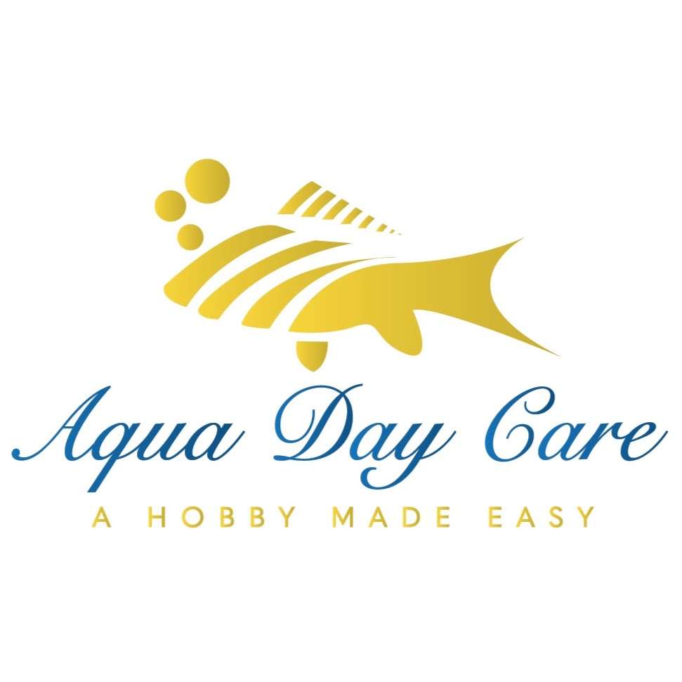 Aqua Day Care | 2255 SW 70th Ave, Davie, FL 33317, USA | Phone: (954) 871-0892