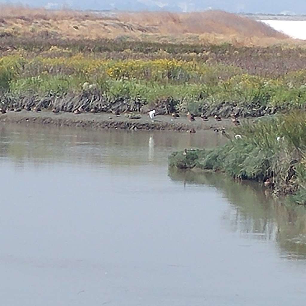 Coyote Creek Lagoon Trail | Fremont, CA 94538, USA