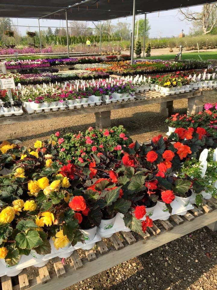 Perricone Garden Center & Nursery | 31600 Fisher Rd, Volo, IL 60051, USA | Phone: (815) 344-8678