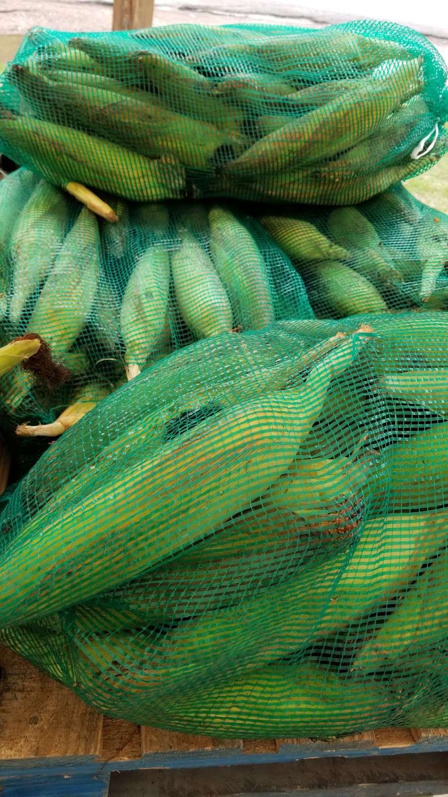 FRUTERIA: EL KOKO LOKO Verduras Y Vejetales | 27668 FM 1485, New Caney, TX 77357, USA | Phone: (832) 970-4072