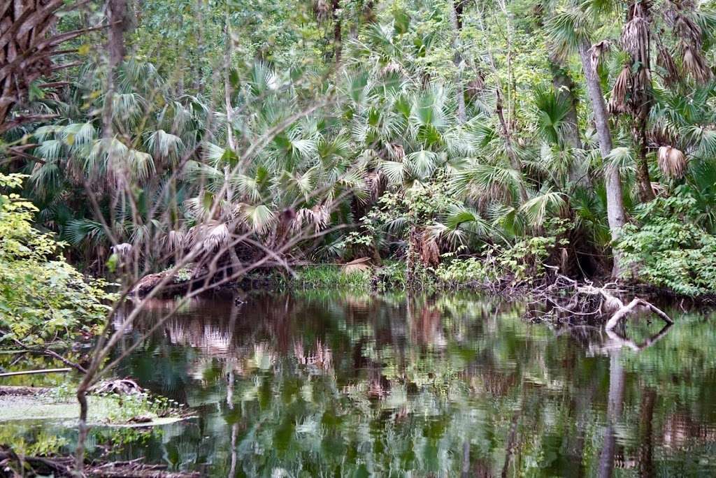 Sabal Point Sanctuary | 404 Wilderness Dr, Longwood, FL 32779, USA