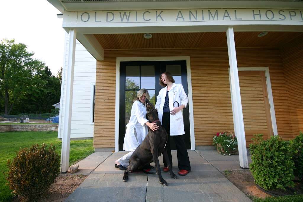Oldwick Animal Hospital | 130 Oldwick Rd, Whitehouse Station, NJ 08889, USA | Phone: (908) 439-2470
