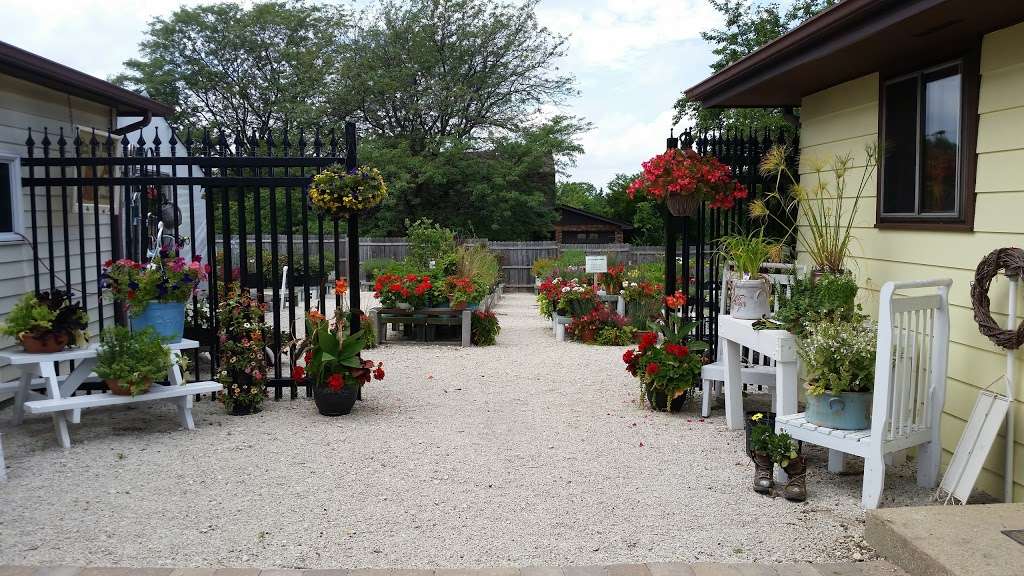 Sun and Shade Garden Center | 16646 W 127th St, Lemont, IL 60439, USA | Phone: (708) 359-9929