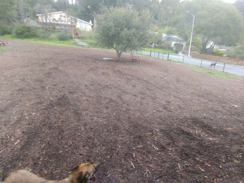 Pacheco Dog Park | Santa Cruz, CA 95065, USA | Phone: (831) 420-5270