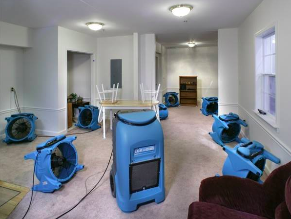 Water Damage Experts NYC | 1461 Shore Pkwy, Brooklyn, NY 11214, USA | Phone: (347) 499-3919