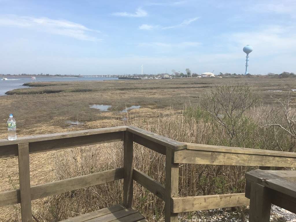 Lido Beach Passive Nature Area | 1051-1137 Lido Blvd, Lido Beach, NY 11561