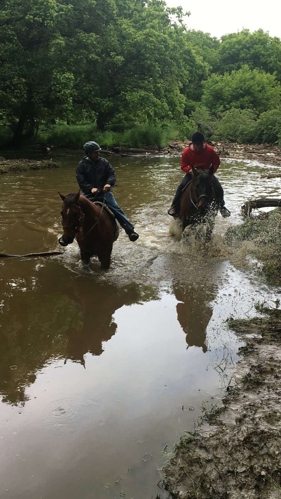 Tamarack Stables | 9905 Old Colchester Rd, Lorton, VA 22079 | Phone: (703) 339-5160