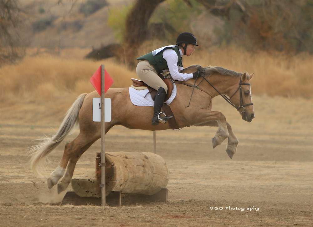 Heather Hill Riding Center | 3674 Sand Hill Rd, Woodside, CA 94062, USA | Phone: (650) 465-4083