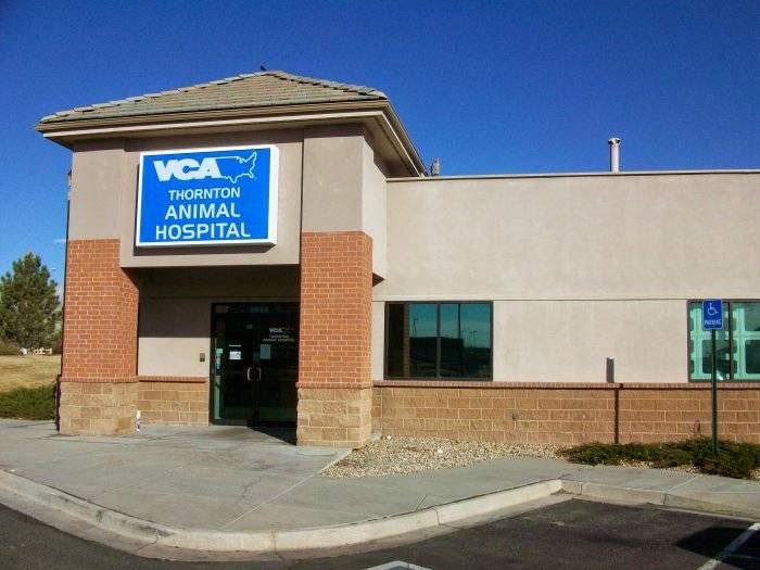 VCA Thornton Animal Hospital | 3555 E 104th Ave, Thornton, CO 80233 | Phone: (303) 452-8704