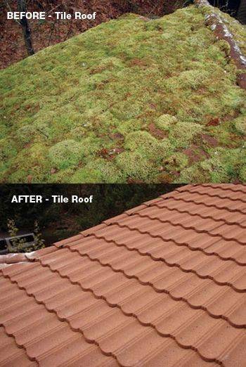 Harbor Roof & Gutter Cleaning | Moller Dr NW, Gig Harbor, WA 98332, USA | Phone: (253) 225-2852