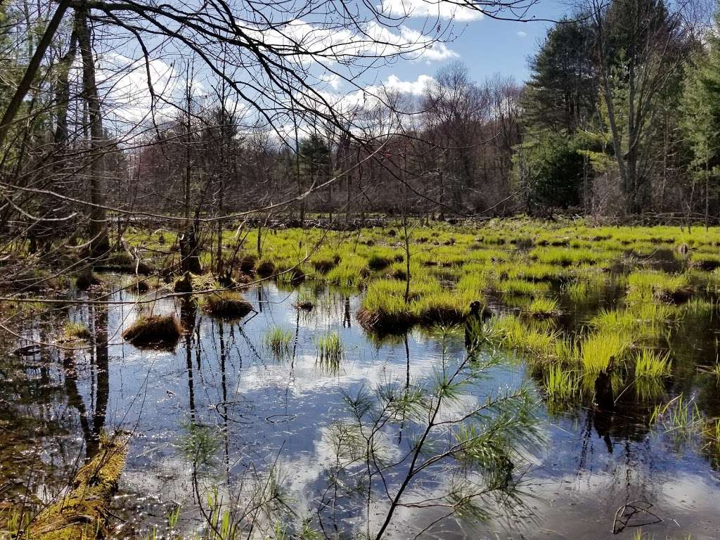 Assabet River National Wildlife Refuge | 680 Hudson Rd, Sudbury, MA 01776, USA | Phone: (978) 562-3527