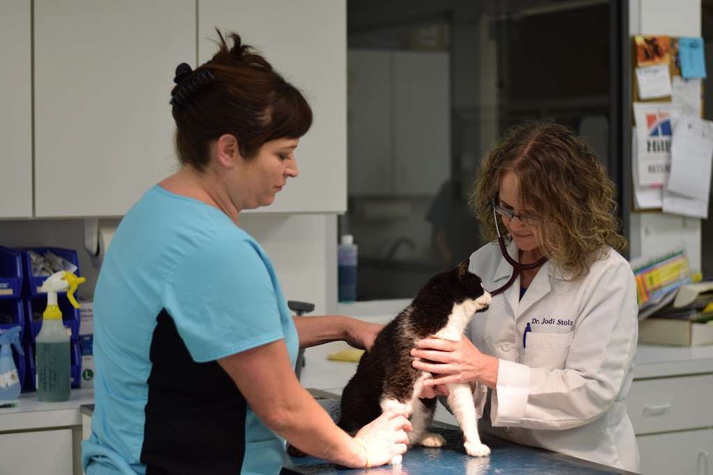 Aloha Animal Hospital | 1446 Baltimore St, Hanover, PA 17331 | Phone: (717) 633-7387