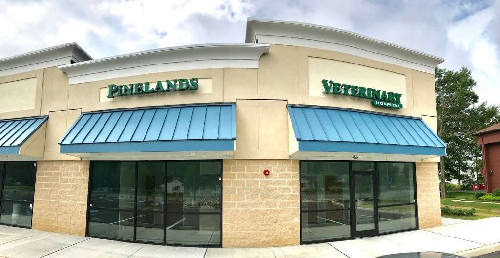Pinelands Veterinary Hospital | 1031 Lacey Rd, Forked River, NJ 08731, USA | Phone: (609) 526-8556