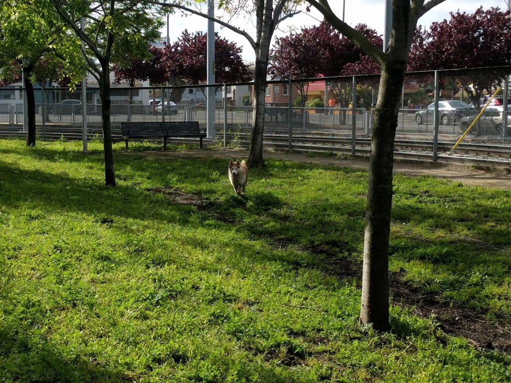 Discovery Dog Park | 410 Park Ave, San Jose, CA 95110, USA | Phone: (408) 535-3570