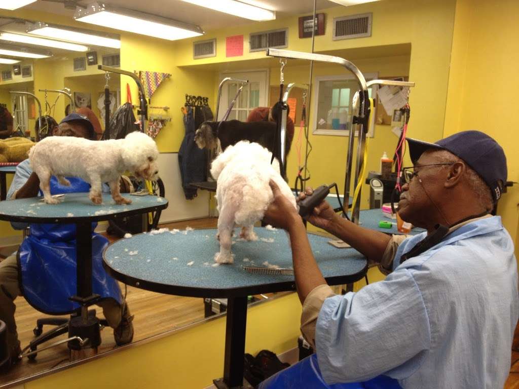 Houston Pet Grooming Academy | 6727 1/2 Weslayan St, Houston, TX 77005 | Phone: (713) 253-5757