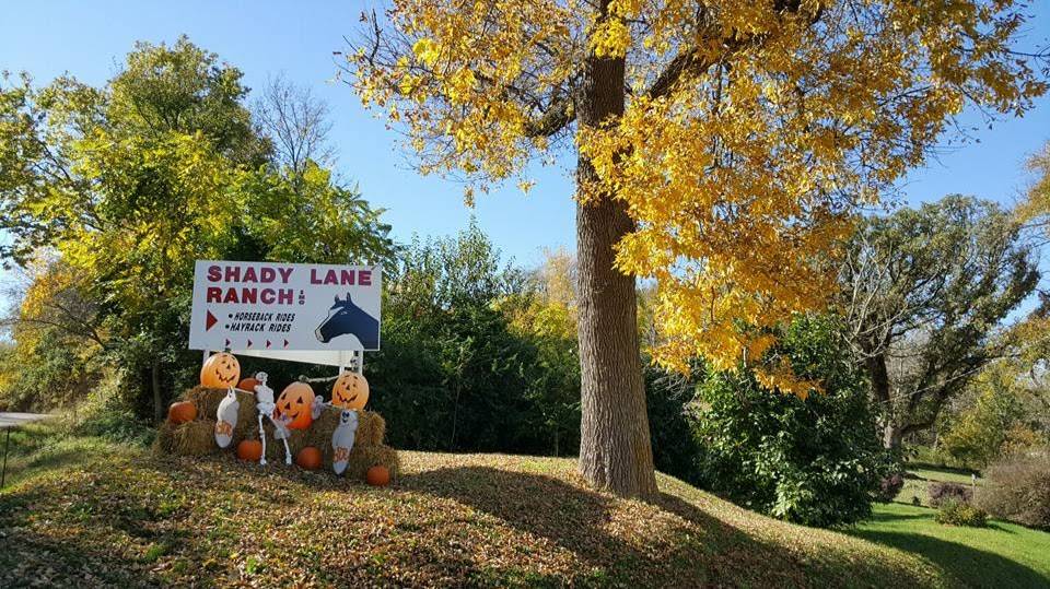 Shady Lane Ranch, Inc. | 17744 Shady Ln, Council Bluffs, IA 51503, USA | Phone: (712) 323-1932