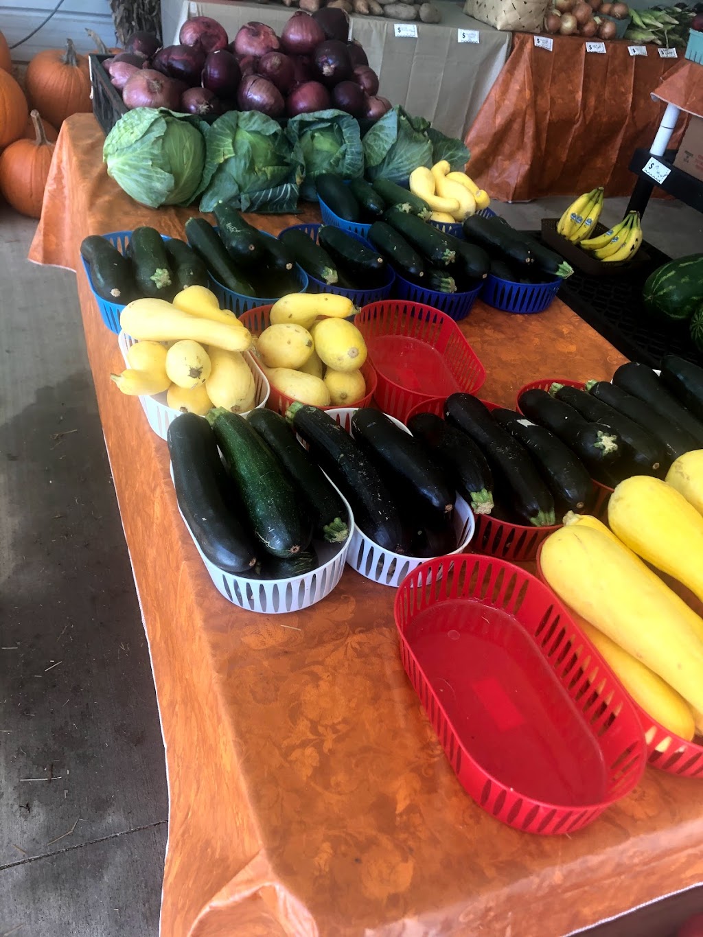 579 Produce Market | 6411 County Rd 579, Seffner, FL 33584 | Phone: (813) 833-3981