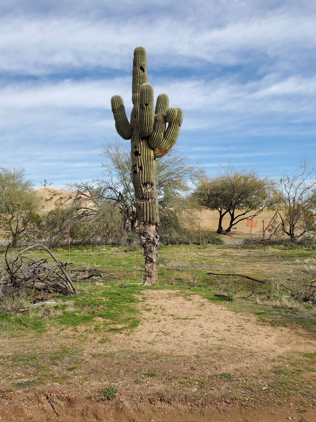 Barrier Free Nature Trail - Parking Lot | Barrier Free Nature Trail, Phoenix, AZ 85050, USA