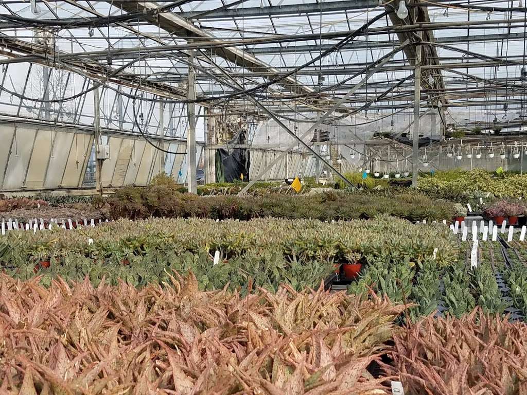 Esbenshades Garden Centers & Greenhouse | 546 E 28th Division Hwy, Lititz, PA 17543, USA | Phone: (717) 626-7007