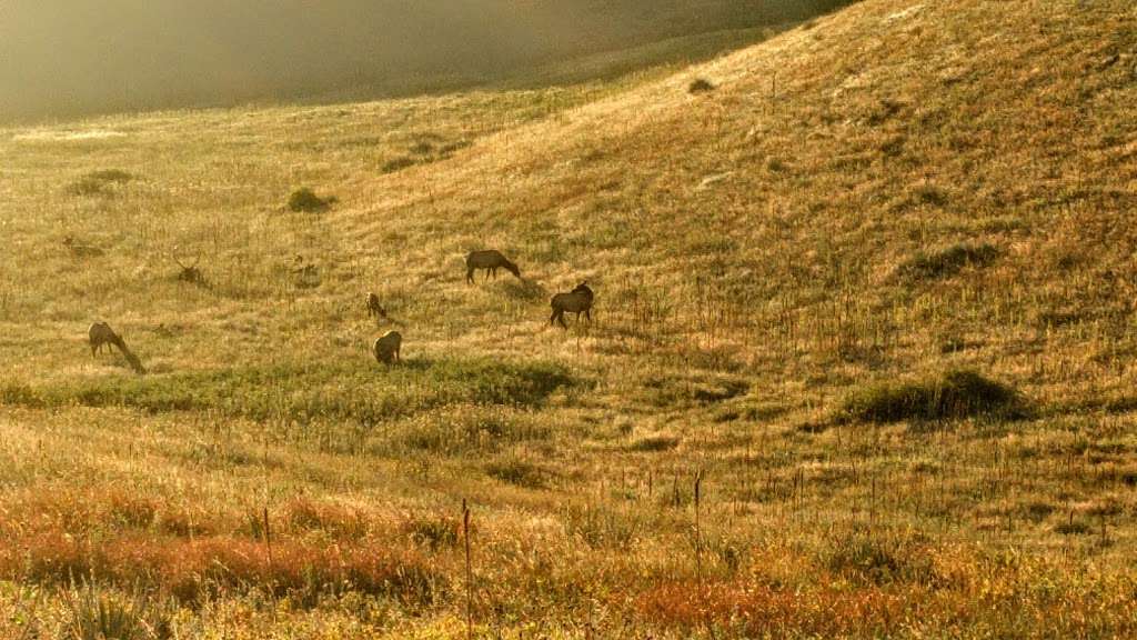 William Frederick Hayden Park | 1000 S Rooney Rd, Lakewood, CO 80228, USA | Phone: (303) 697-6159