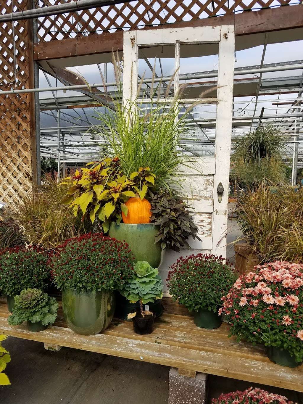 Esbenshades Garden Centers & Greenhouse | 1749 Bowmansville Rd, Mohnton, PA 19540, USA | Phone: (717) 445-6055