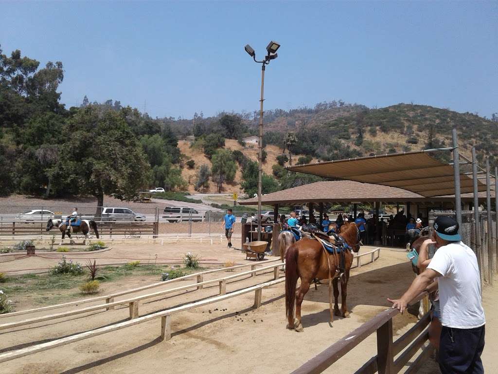 Griffith Park Pony Ride | 4400 Crystal Springs Dr, Los Angeles, CA 90027, USA | Phone: (323) 664-3266