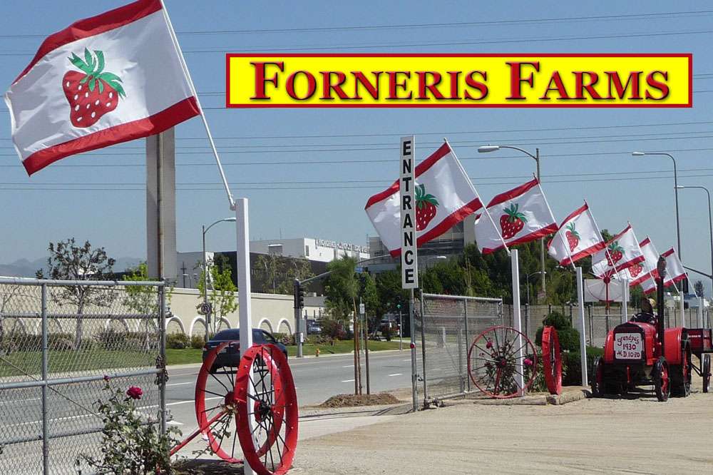 Forneris Farms | 15200 Rinaldi St, Mission Hills, CA 91345 | Phone: (818) 730-7707