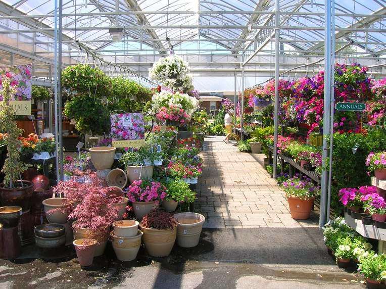 Seoanes Garden Center | 551 Bedford St, Abington, MA 02351, USA | Phone: (781) 878-1306