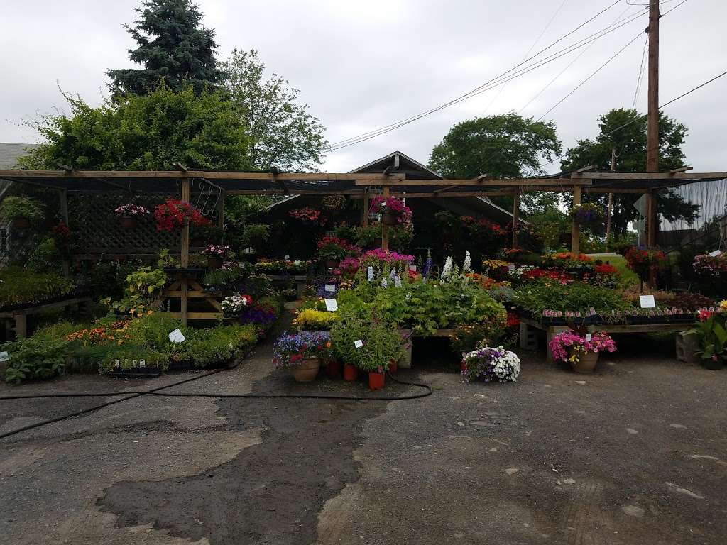 Millers Flower Shop by Kate | 2247 Route 209, Sciota, PA 18354 | Phone: (570) 992-4612