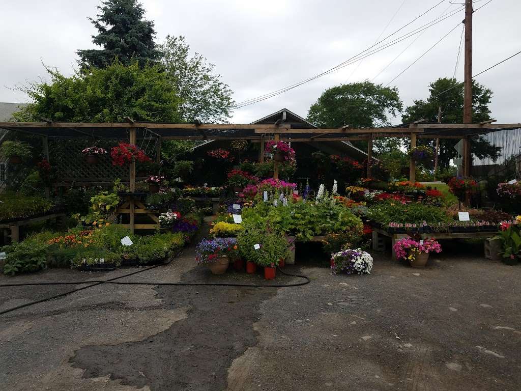 Millers Flower Shop by Kate | 2247 Route 209, Sciota, PA 18354, USA | Phone: (570) 992-4612