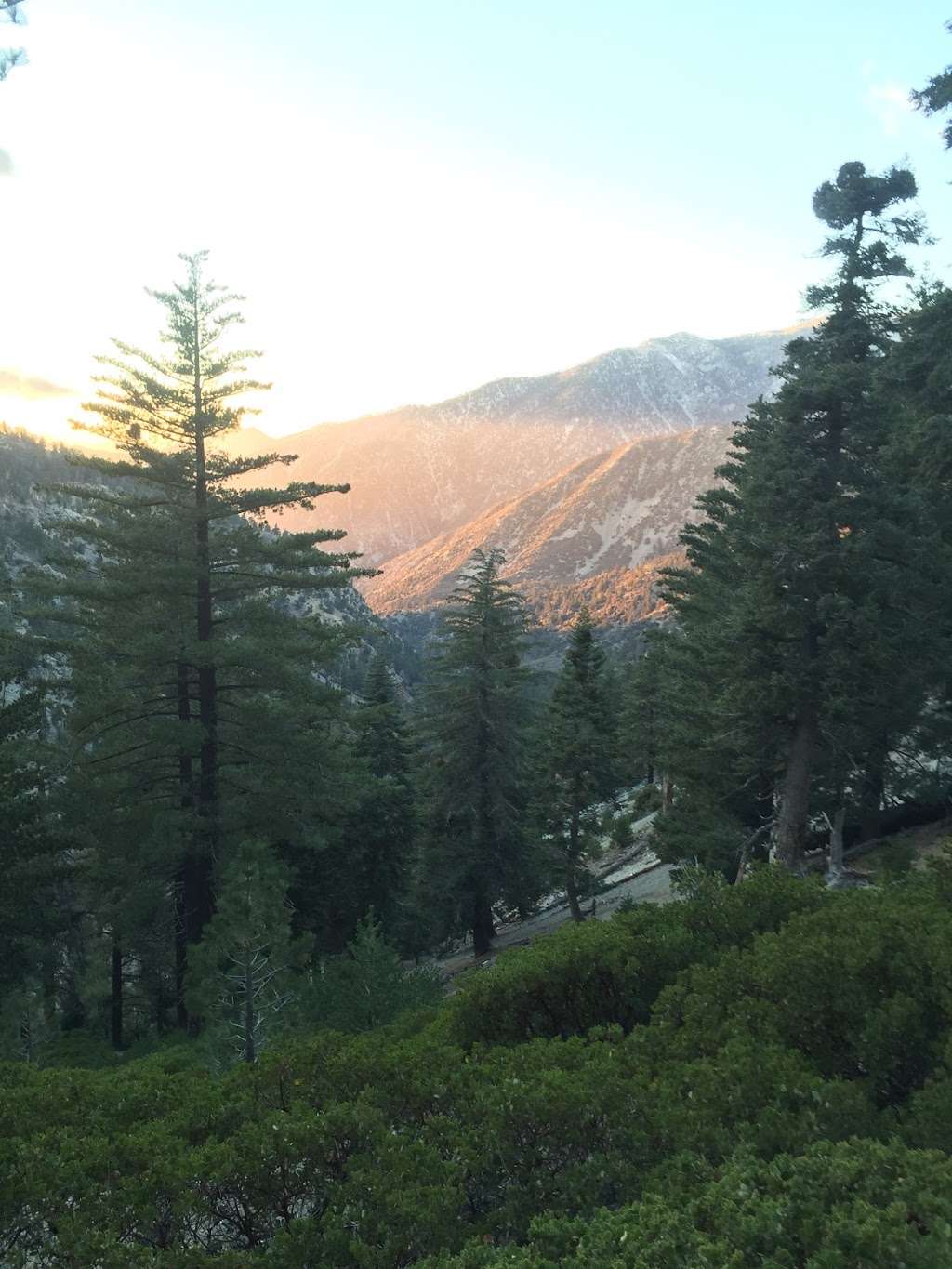 Japanese Saddle | Ice House Canyon Trail, Mt Baldy, CA 91759