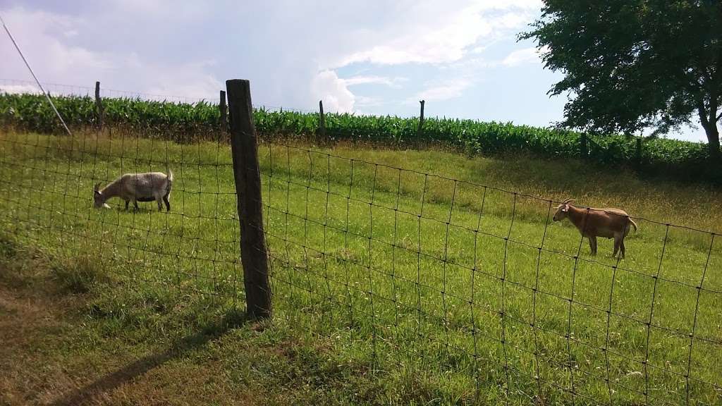 Beaver Creek Farm Cabins | 2 Little Beaver Rd, Strasburg, PA 17579, USA | Phone: (717) 687-7745