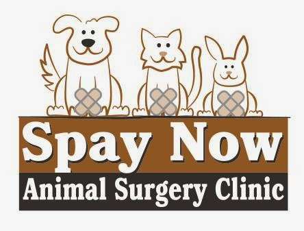 Spay Now Inc | 125 Pullman Crossing Rd # 101, Grasonville, MD 21638, USA | Phone: (410) 827-6464