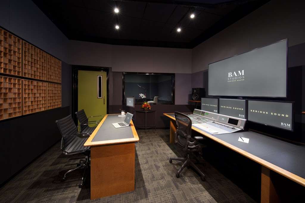 BAM Studios | 2558 W 16th St #555, Chicago, IL 60608, USA | Phone: (312) 255-8862