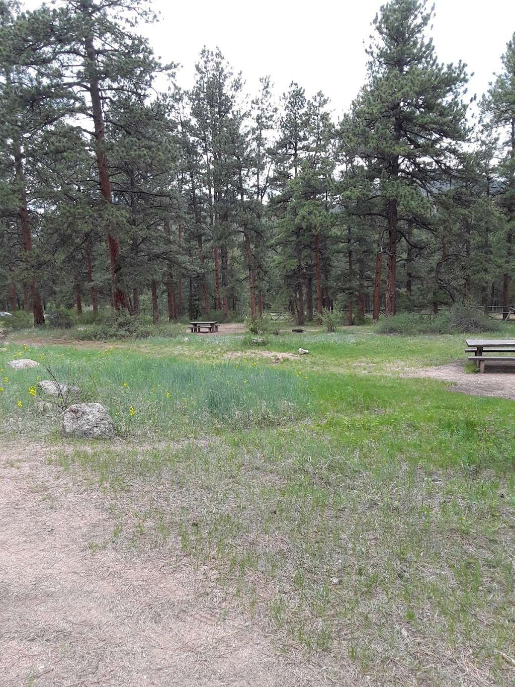 Buffalo Campground | Forest Rd 550, Pine, CO 80470, USA | Phone: (303) 275-5610